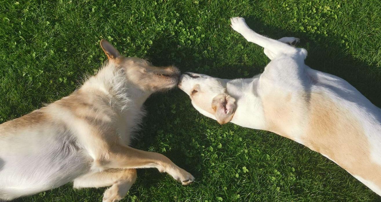 Nina und Willi Nina und Willi